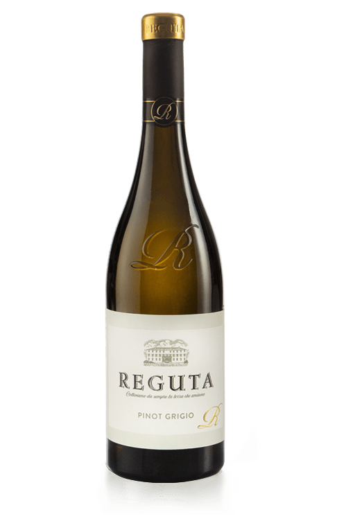 Pinot Grigio - immagine 2